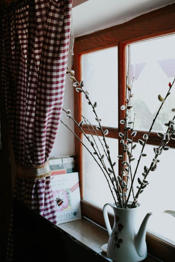 Studio Apartment Romeo فيليكا غوغيتْسا المظهر الخارجي الصورة